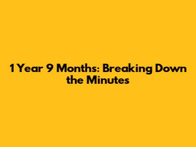 1 Year 9 Months: Breaking Down the Minutes
