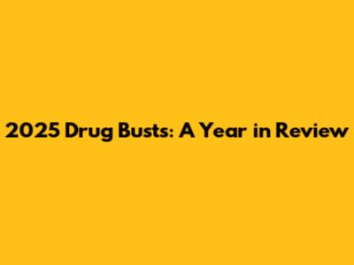 2025 Drug Busts: A Year in Review