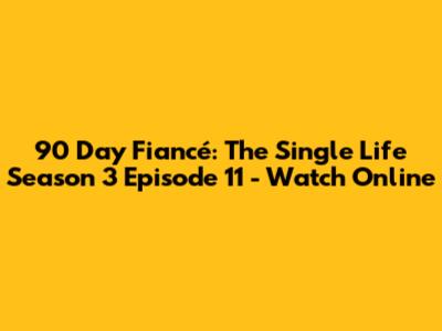 90 Day Fiancé: The Single Life Season 3 Episode 11 - Watch Online