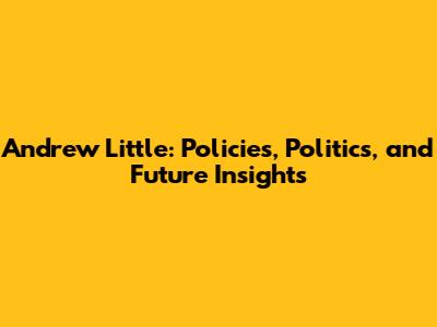 Andrew Little: Policies, Politics, and Future Insights