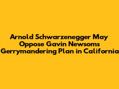 Arnold Schwarzenegger May Oppose Gavin Newsom's Gerrymandering Plan in California