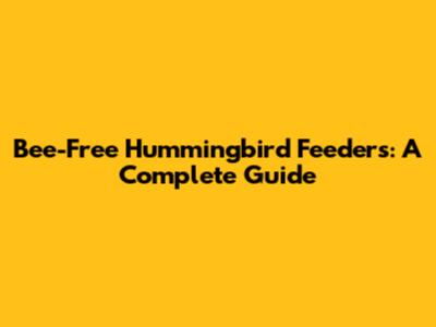 Bee-Free Hummingbird Feeders: A Complete Guide
