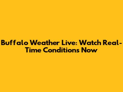 Buffalo Weather Live: Watch Real-Time Conditions Now