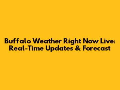 Buffalo Weather Right Now Live: Real-Time Updates & Forecast