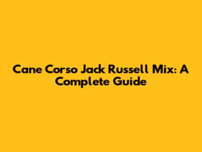 Cane Corso Jack Russell Mix: A Complete Guide