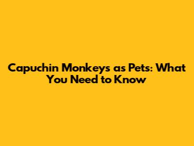 Capuchin Monkeys as Pets: What You Need to Know