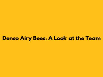 Denso Airy Bees: A Look at the Team