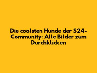 Die coolsten Hunde der S24-Community: Alle Bilder zum Durchklicken
