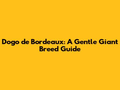 Dogo de Bordeaux: A Gentle Giant Breed Guide