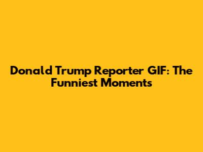 Donald Trump Reporter GIF: The Funniest Moments