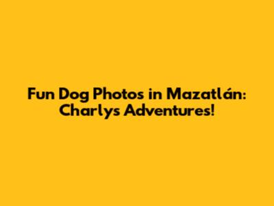 Fun Dog Photos in Mazatlán: Charly's Adventures!
