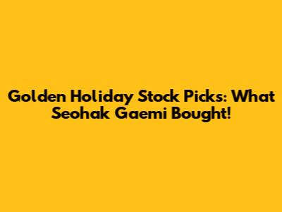 Golden Holiday Stock Picks: What "Seohak Gaemi" Bought!
