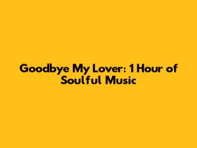 Goodbye My Lover: 1 Hour of Soulful Music