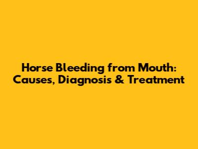 Horse Bleeding from Mouth: Causes, Diagnosis & Treatment