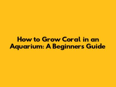 How to Grow Coral in an Aquarium: A Beginner's Guide