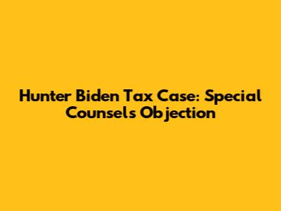 Hunter Biden Tax Case: Special Counsel's Objection