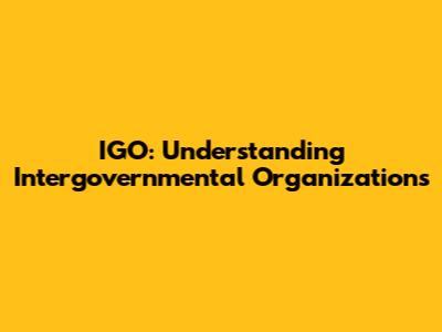 IGO: Understanding Intergovernmental Organizations