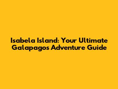 Isabela Island: Your Ultimate Galapagos Adventure Guide
