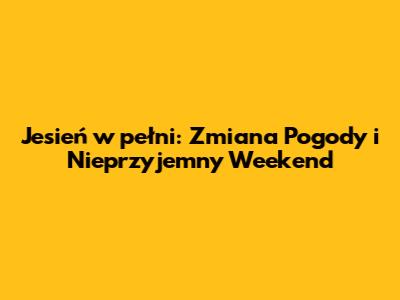 Jesień w pełni: Zmiana Pogody i Nieprzyjemny Weekend