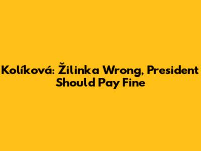 Kolíková: Žilinka Wrong, President Should Pay Fine