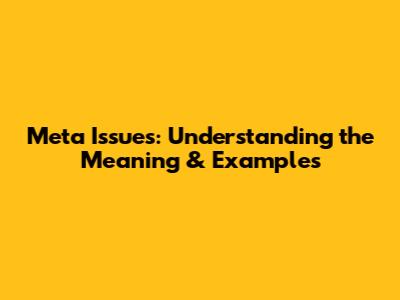 Meta Issues: Understanding the Meaning & Examples