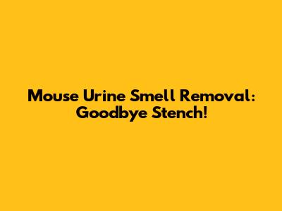Mouse Urine Smell Removal: Goodbye Stench!