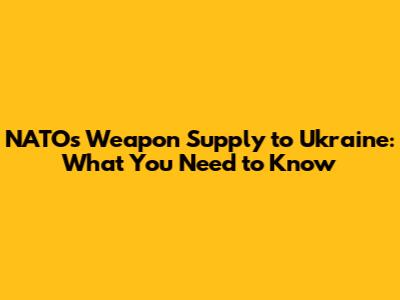 NATO's Weapon Supply to Ukraine: What You Need to Know