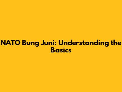 NATO Bung Juni: Understanding the Basics