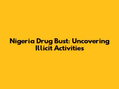 Nigeria Drug Bust: Uncovering Illicit Activities