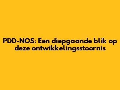 PDD-NOS: Een diepgaande blik op deze ontwikkelingsstoornis