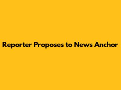 Reporter Proposes to News Anchor
