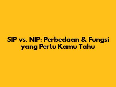 SIP vs. NIP: Perbedaan & Fungsi yang Perlu Kamu Tahu
