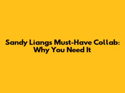 Sandy Liang's Must-Have Collab: Why You Need It
