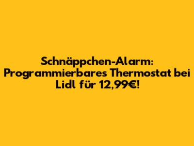 Schnäppchen-Alarm: Programmierbares Thermostat bei Lidl für 12,99€!