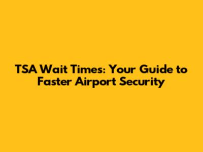 TSA Wait Times: Your Guide to Faster Airport Security