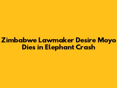 Zimbabwe Lawmaker Desire Moyo Dies in Elephant Crash